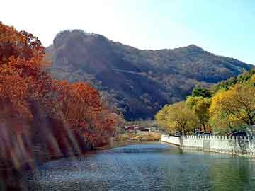 大三巴一肖二码最准，都市神尊